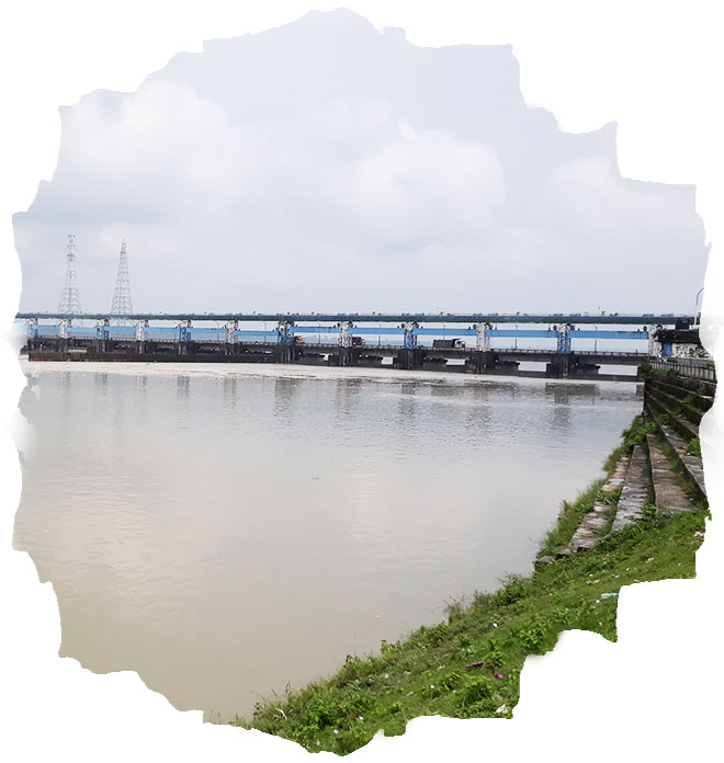 Gajoldoba (Bhorer Alo)