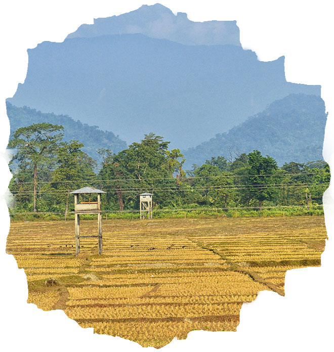 Jaldapara National Park (Madarihat)