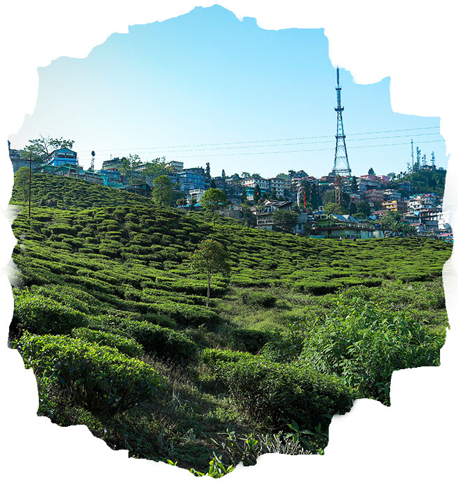 Kurseong
